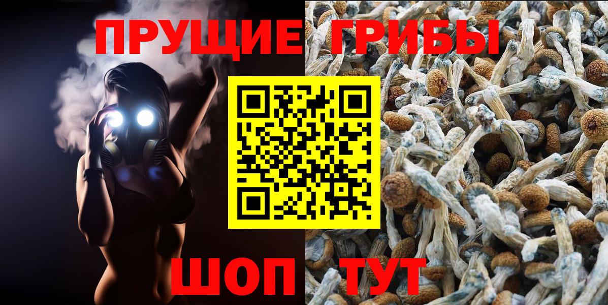цены наркотик  Вход с VPN  Минусинск  Галлюциногенные грибы Psilocybe 